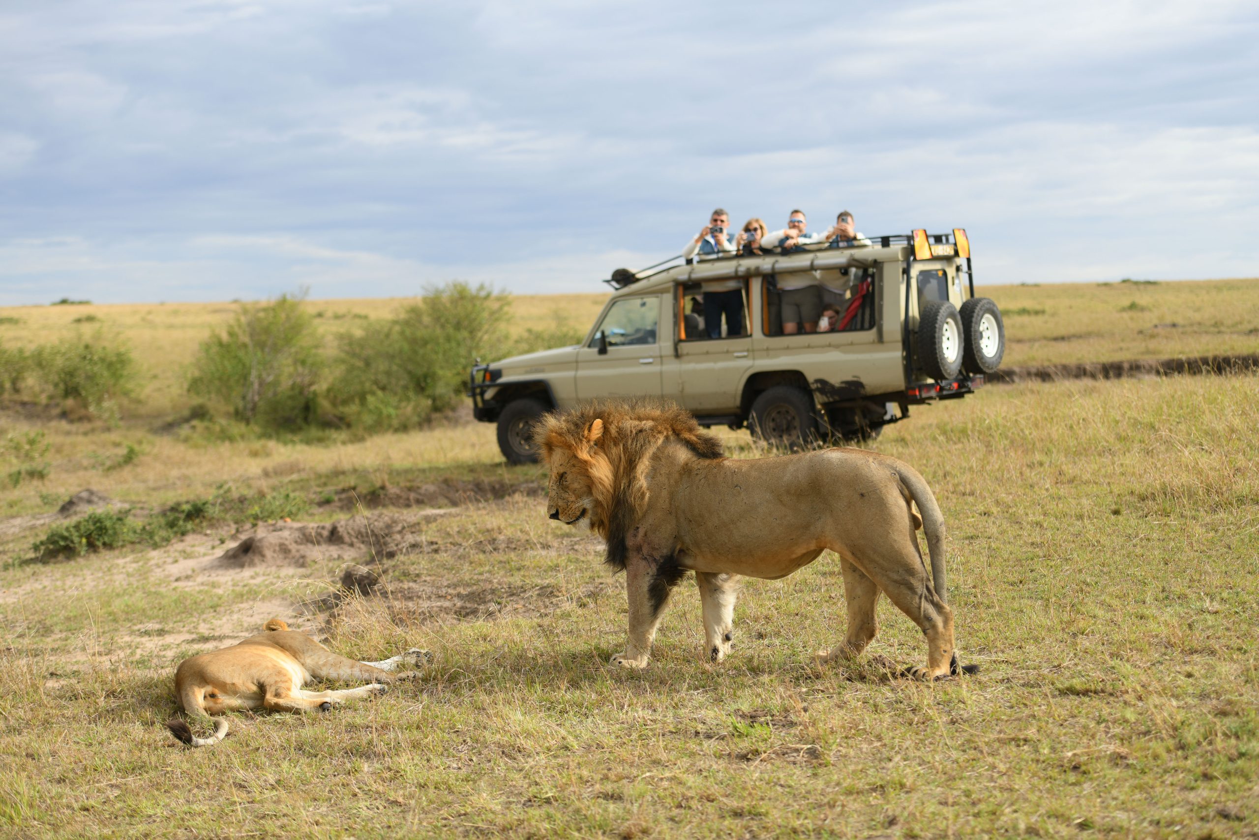 Private African safari journey designed by Go Safaris Travel