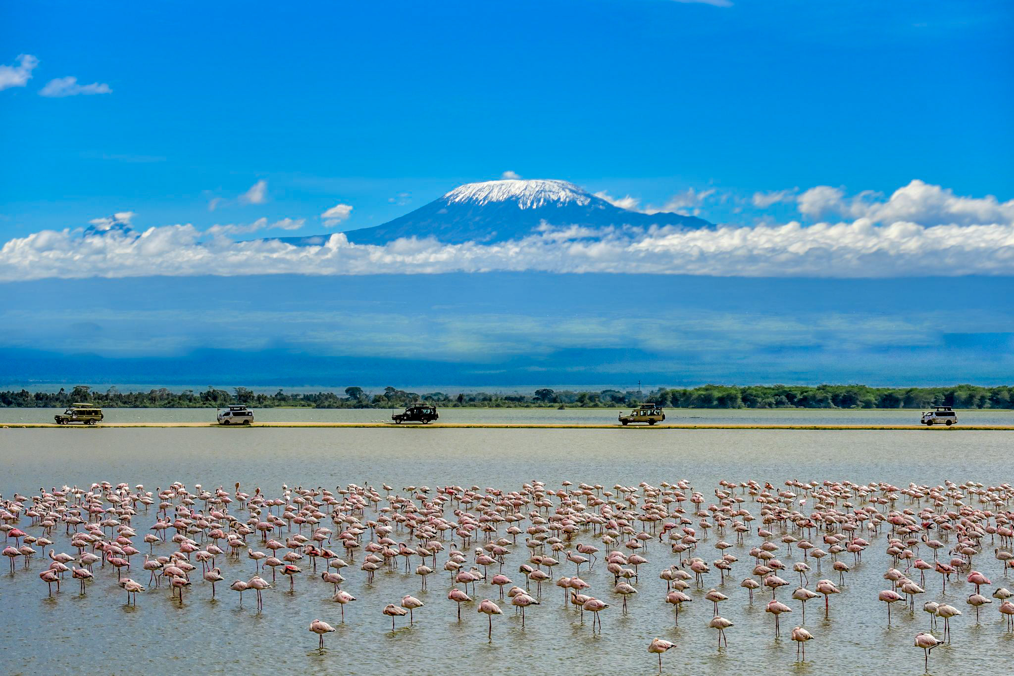 Safari vehicles beside a flamingo shoreline with Mount Kilimanjaro in the distance