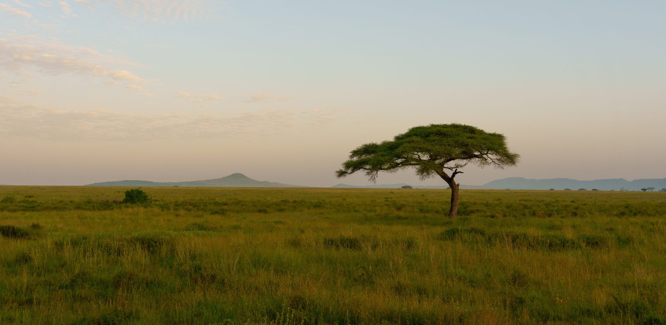 Tanzania Luxury Safaris in the Serengeti