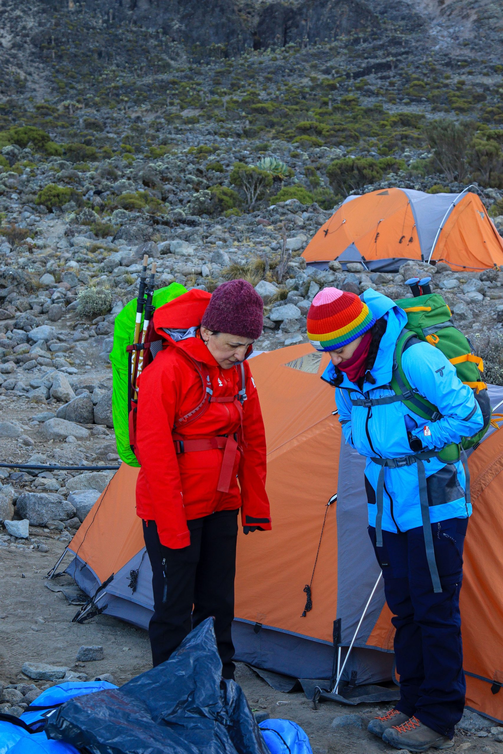 Tents on Mount Kilimanjaro